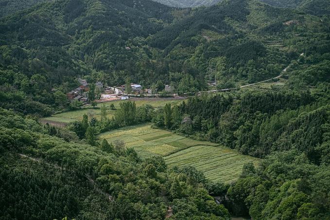 清风信阳焕发新活力，城市发展势头强劲的最新消息