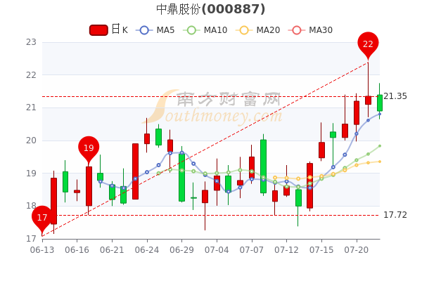 中鼎股票最新价格，市场走势与投资者关注