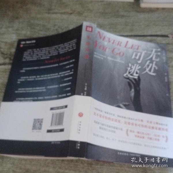 最新小说深度探索，无处可逃