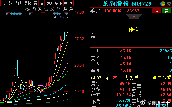 龙涤股份最新动态全面解读