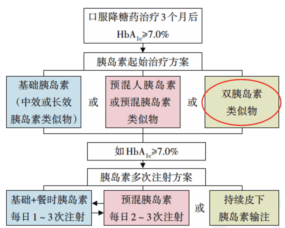 精选英文微信网名女生全攻略，展现个性魅力，引领潮流风尚的精选网名推荐